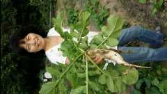 20131124 Organic Farm30